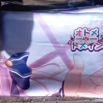 오토메 도메인 소프맵 B2 태피스트리