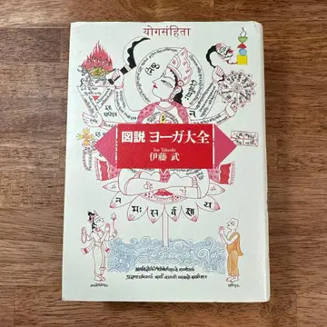 도설 요가 대전