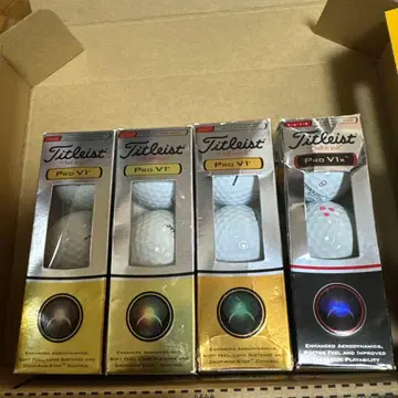 타이틀리스트 PRO v1 12구 타이틀리스트 ProV1X