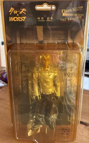 크로우즈&WORST 진나이 코헤이 레굴루스 한정판 FBG