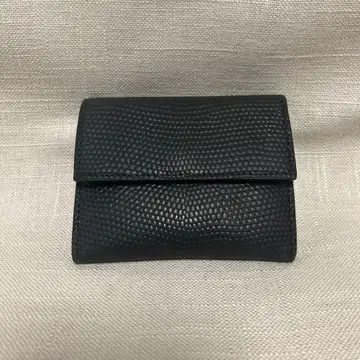 카미유 포르네 리자드 블랙 코인 케이스