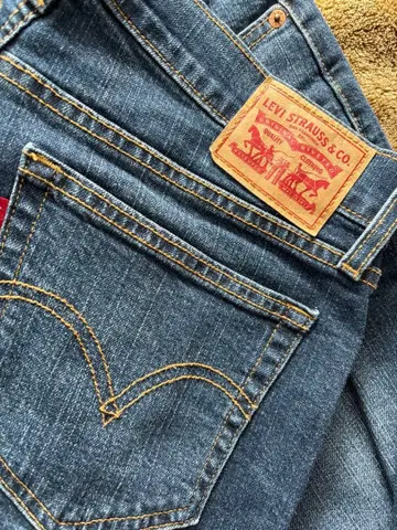 Levi Strauss & Co. 스트레이트 데님 27