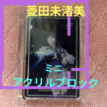 히시다 미나미 미니 아크릴 블록 데지리아 트레이딩 카드 레어 Girls2