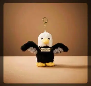 Mrs. GREEN APPLE 사용의 새