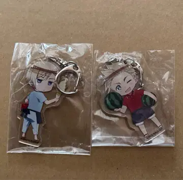 헤타리아 노르웨이 덴마크 애니카페 아크릴 키링