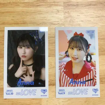 야마모토 안나 미니 사진 레어