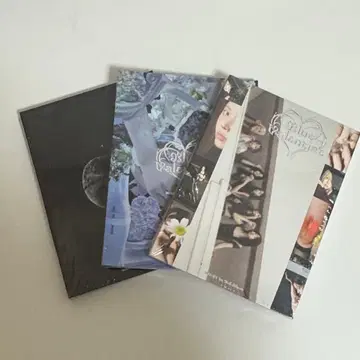 nmixx 앨범 미개봉