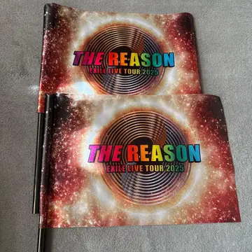 EXILE THE REASON