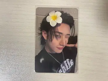 straykids 방찬 KARMA everline 혜택 트레이딩 카드