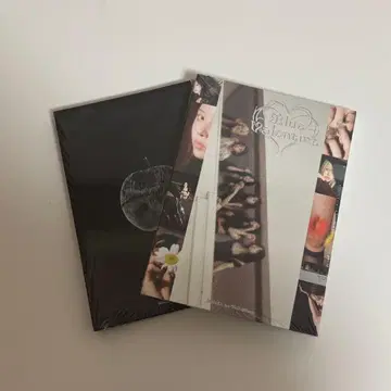 nmixx 앨범 미개봉