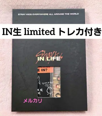 Stray kids IN 한정판 트레이딩 카드 앨범 세트