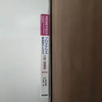 프로메테우스 해부학 아틀라스 구강 두경부