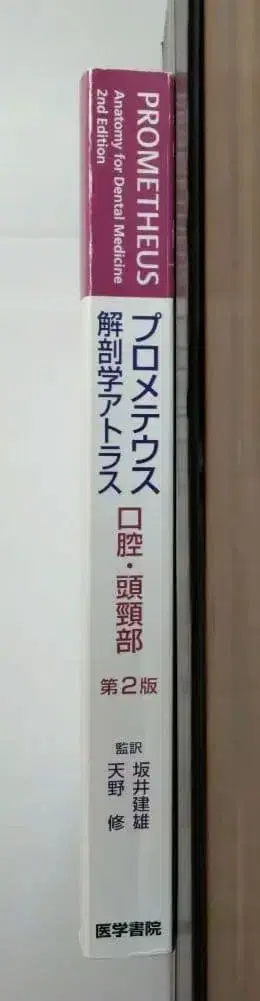 프로메테우스 해부학 아틀라스 구강 두경부