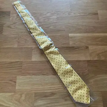 Salvatore Ferragamo 넥타이
