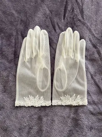 화이트 튤 그로브와 베일 세트