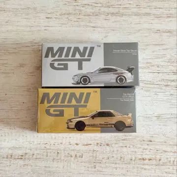 mini gt 탑 시크릿 r32 s15
