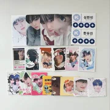 100장 도무송 제베원 ZB1 스티커 씰 덤 한국 작가