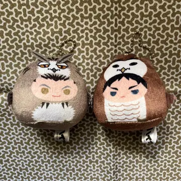 하이큐 테노린즈 보쿠토 코타로 아카아시 케이지 세트