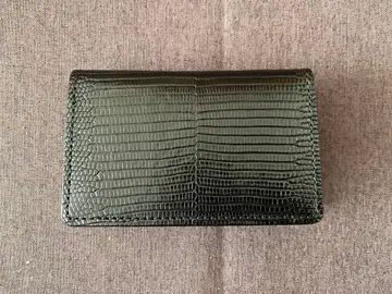 WILDSWANS 와일드 스완스 아들러 리자드 블랙