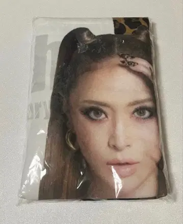 하마사키 아유미 빅 타월 109