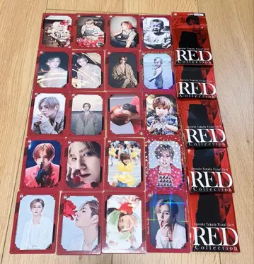 야마다 료스케 비주얼 카드 컴플리트 세트 20매