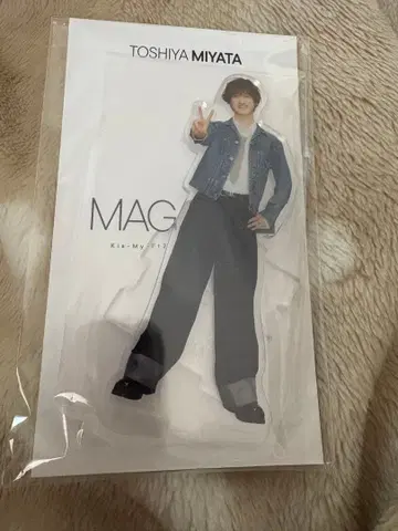 키스마이 Kis-My-Ft2 아크릴 스탠드 MAGFACT 미야타 토시야