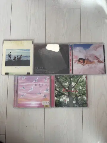 CD 결혼식용 묶음 판매