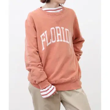 REMI RELIEF FLORIDA CREW NECK SWEAT