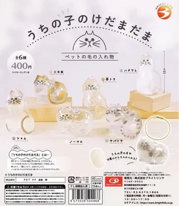 우리 아이 털뭉치 캡슐 토이 전 6종 컴플리트 세트