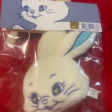 NewJeans 뉴진스 해린