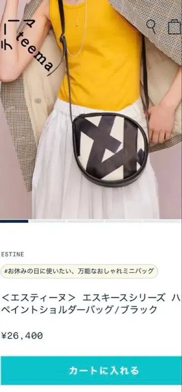 에스티느 숄더백 teema