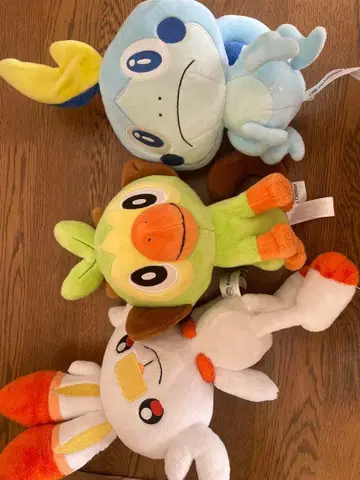 포켓몬 봉제 인형 3개 세트 낱개 판매 가능