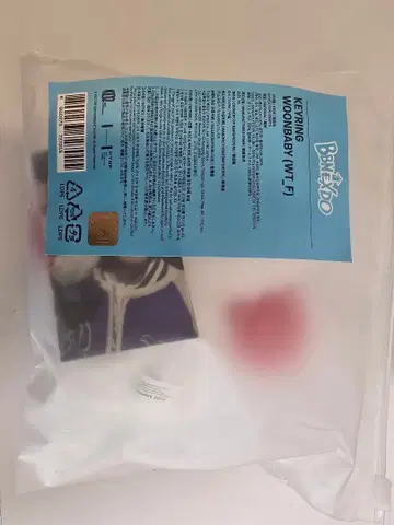 BOYNEXTDOOR 푸넥도 운아기 운학