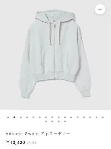 searoomlynn 볼륨 스웨트 집 후디