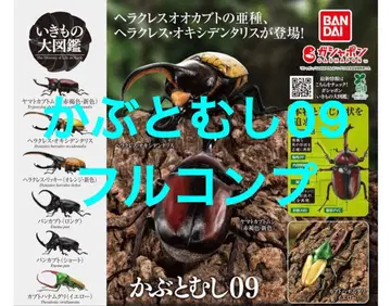 [ 6종 풀컴프 ] 사슴벌레09 생물대도감 장수풍뎅이09