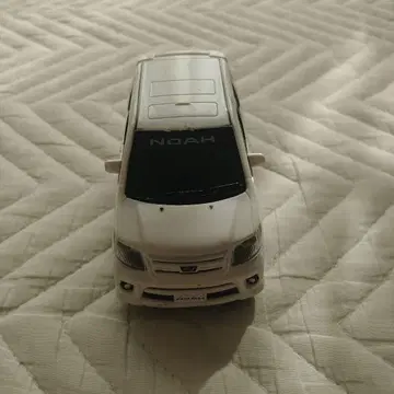 NOAH 미니카 화이트