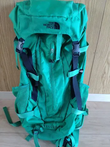 THE NORTH FACE TELLUS 30 백팩 그린