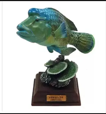 네이처 테크니컬러 해양 I 특장판 안경 물고기 [ 미개봉 ]