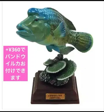 네이처 테크니컬러 해양 I 특장판 안경 물고기 [ 미개봉 ]