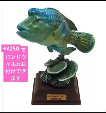 네이처 테크니컬러 해양 I 특장판 안경 물고기 [ 미개봉 ]