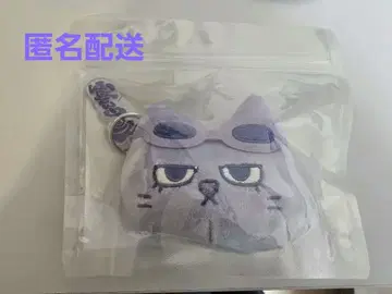 BOYNEXTDOOR 테산 한정판 키링