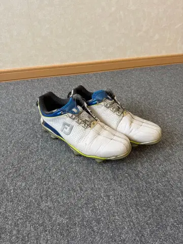 FootJoy 골프화 스파이크 화이트/블루