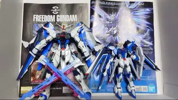 건담 프라모델 MG 프리덤 건담 ver2.0 라이징 프리덤 정크