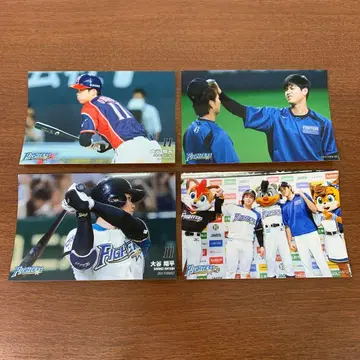 오타니 쇼헤이 선수 2017년 하이라이트 포토 사진 가로 4장