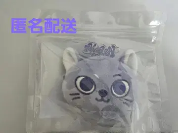 BOYNEXTDOOR 케피 송호 보이넥스트도어 키링 익명 배송