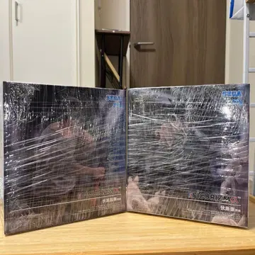 [미개봉] 프라이스 피규어 주술회전 후시구로 진, 후시구로 메구미