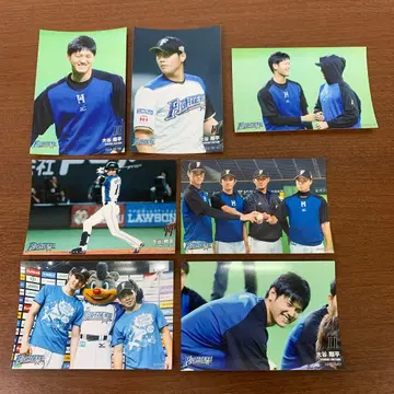 오타니 쇼헤이 선수 2015년 하이라이트 사진 7장 일본 니혼햄 파이터즈