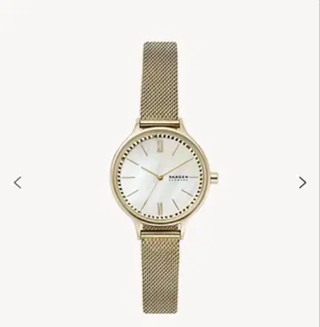 SKAGEN 골드 메쉬 손목시계