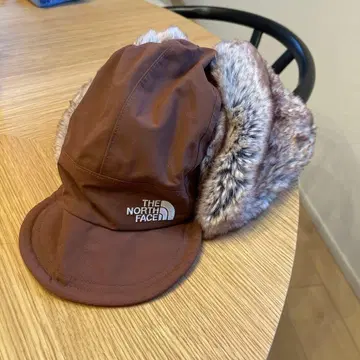 THE NORTH FACE 브라운 플라이트 캡