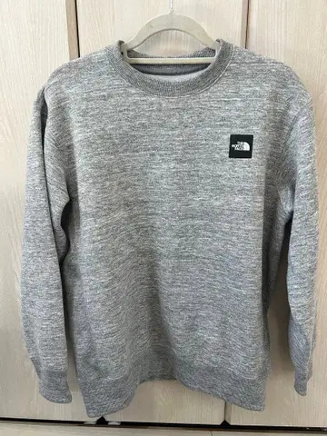 THE NORTH FACE 그레이 맨투맨 M